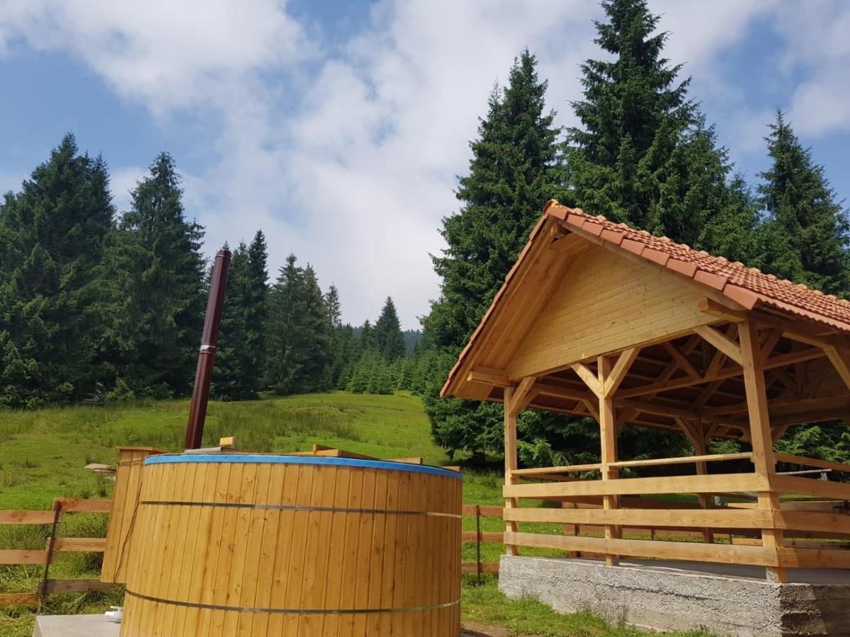 فيلا Casa Bogdan فارتوب المظهر الخارجي الصورة
